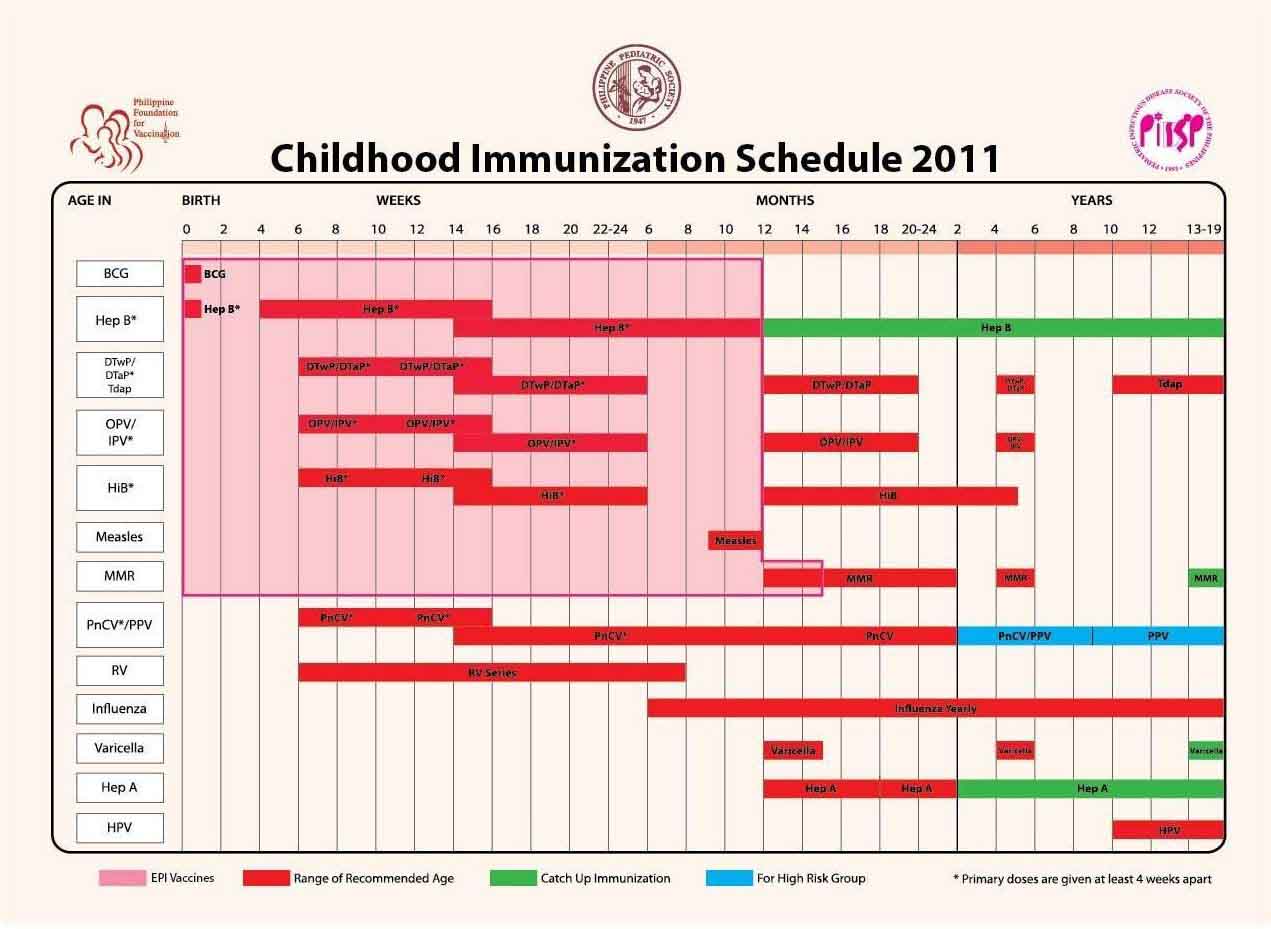Philippine Childhood Immunization 2011 Experience of a Super Mommy